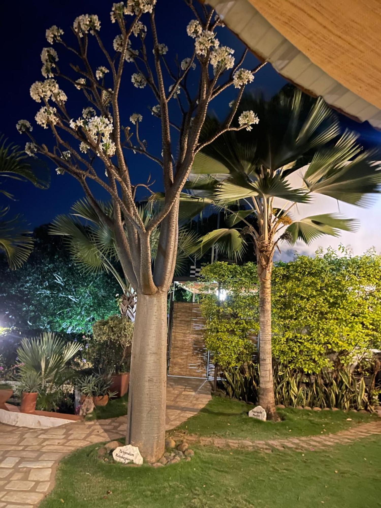 Le Jardin Exotique Hotel Antsiranana Exteriör bild