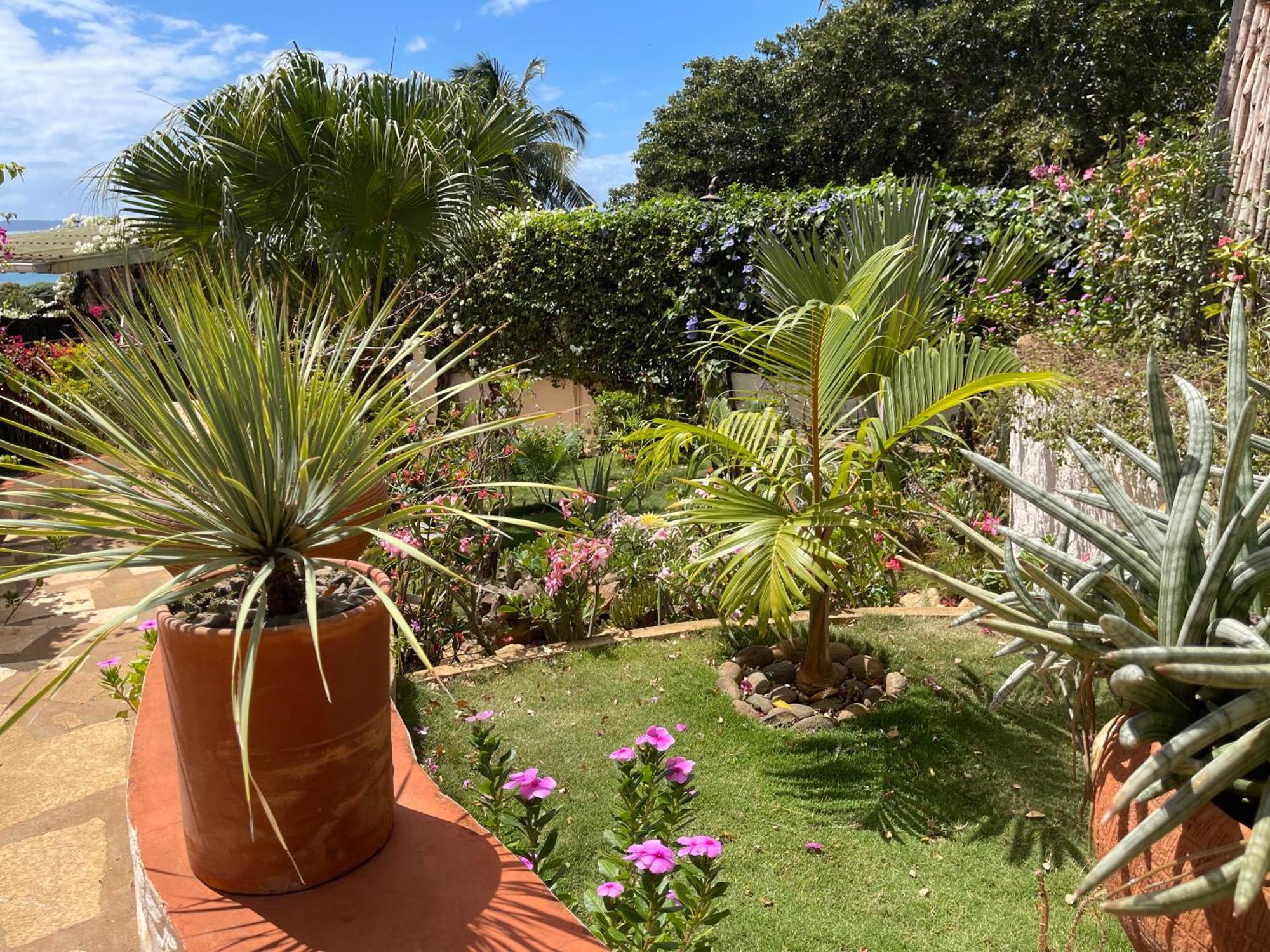 Le Jardin Exotique Hotel Antsiranana Exteriör bild