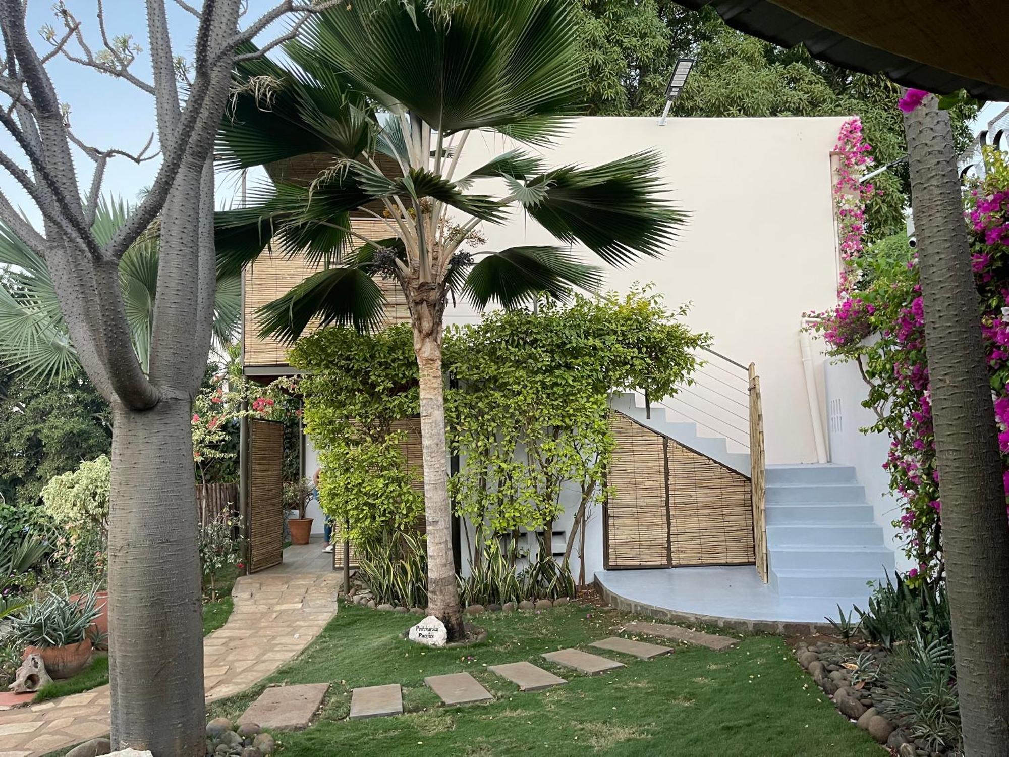 Le Jardin Exotique Hotel Antsiranana Exteriör bild