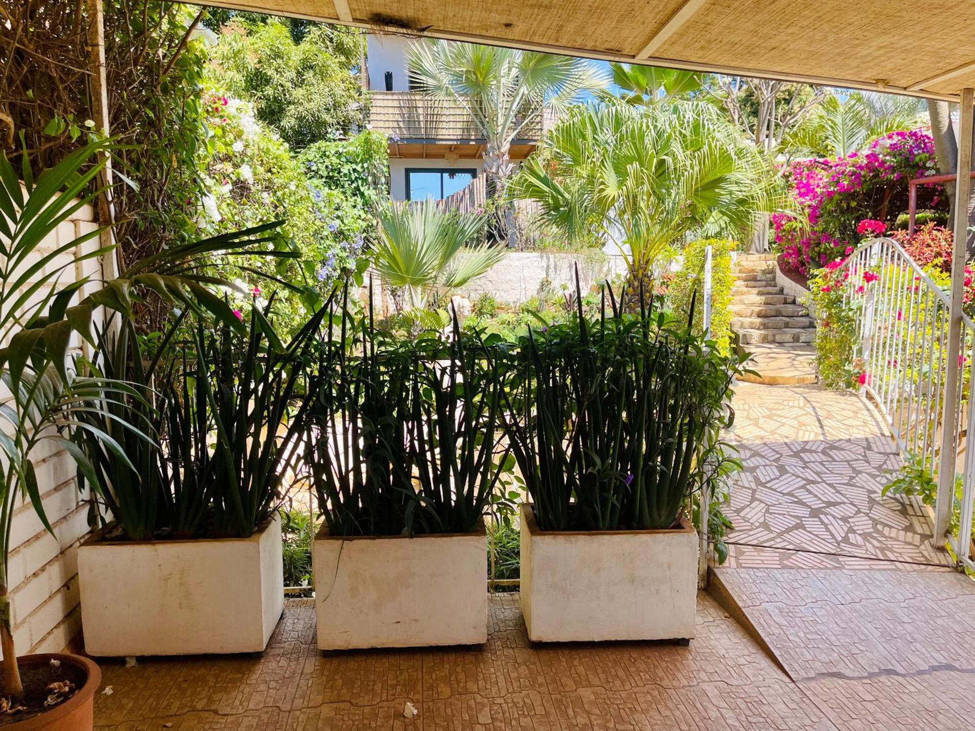 Le Jardin Exotique Hotel Antsiranana Exteriör bild