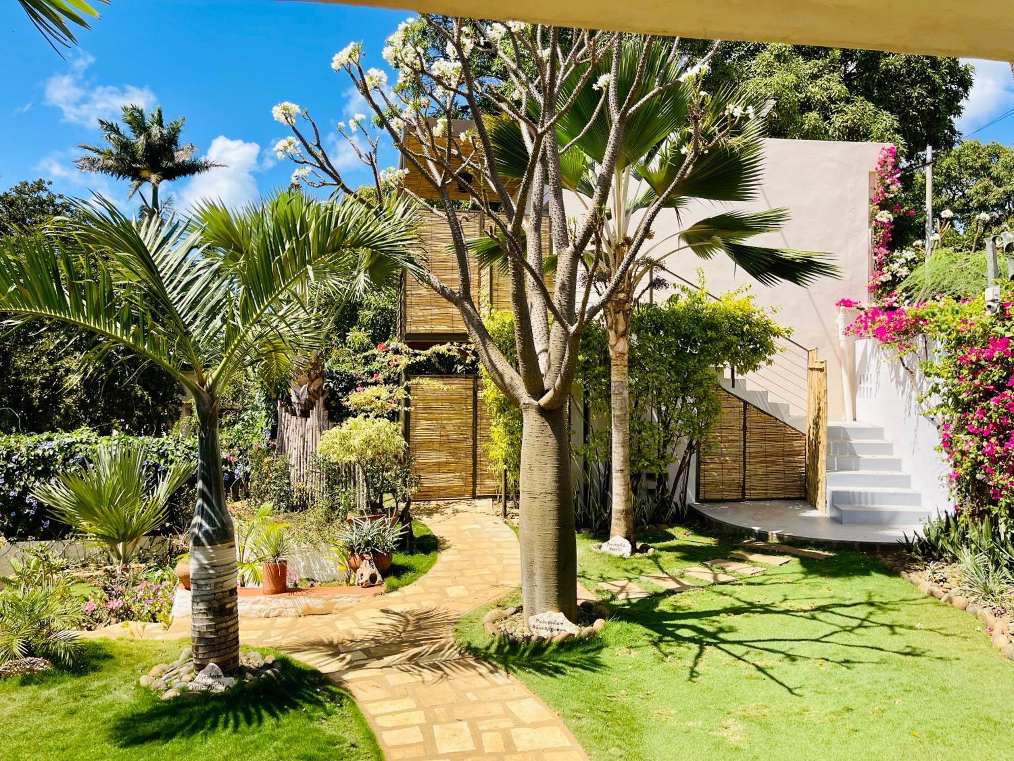 Le Jardin Exotique Hotel Antsiranana Exteriör bild